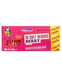 2 x Berry Suet Block Wild Bird Treat, 10 x 300 g