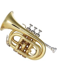 ADAPEY Miniature Trumpet Model, Professional mini trumpet Mini Pocket Trumpet Bb Flat Brass Wind Instrument With Mouthpiece Gloves Cleaning Cloth Carrying Case