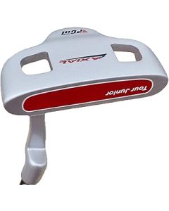 Golf Club Boys Golf Putter, Practice Club for Beginner for Beginners and Advanced (Color : Silver, Size : 24inch)