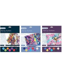 Tallon Adult Paint by Numbers - Assorted Designs X1 Random Set