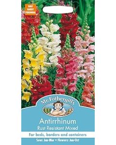 Mr Fothergill's 11501 ANTIRRHINUM Rust Resistant Mixed