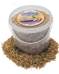 Chubby Mealworms Dried Mealworms and Calci Worm Mix, 5 Litres
