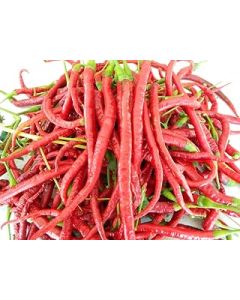 Joe's Long Cayenne Chilli Seeds - Cayenne Long Pepper Seeds