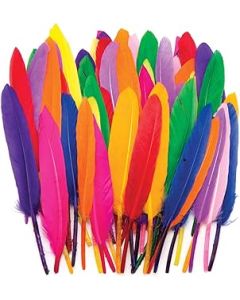 Baker Ross AR245 Mini Quill Feathers Value Pack — Ideal for Kids' Arts and Crafts, Sensory Stimulation, and More (Pack of 80), Assorted, 13cm