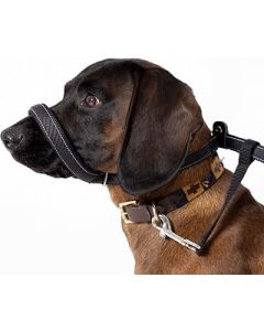 Total Pet Figure of 8 Dog Lead - Flat Anti Pull Stop Dogs Pulling – Slip Leads Reflective with Padded Nose Support (180cm)